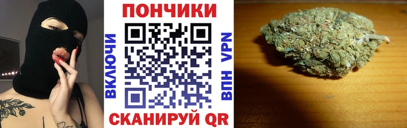 Купить где  Грязи  Шишки марихуана OG Kush 